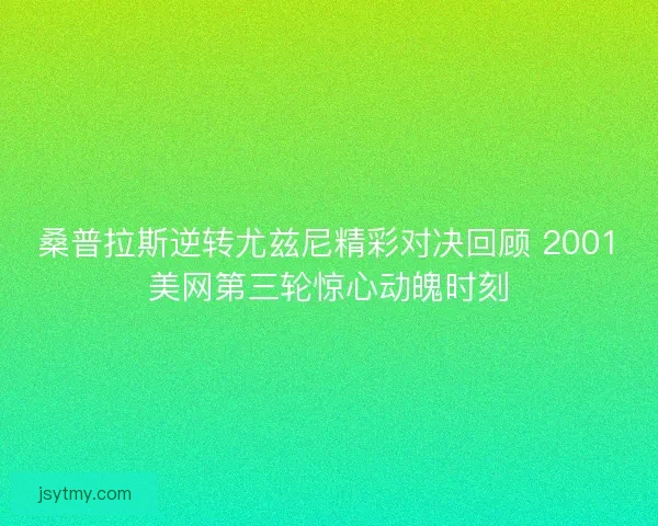 桑普拉斯逆转尤兹尼精彩对决回顾 2001美网第三轮惊心动魄时刻